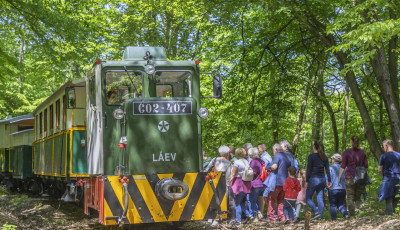 A vil&aacute;g legjobb turisztikai projektje lett a miskolci &bdquo;Ehető Erdő&rdquo; &eacute;lm&eacute;nyprogram