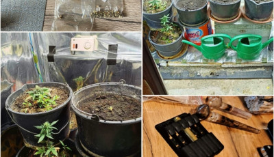 Egyszerre 7 helysz&iacute;nen csaptak le a h&aacute;l&oacute;zatra, f&uuml;vet &eacute;s lőszereket foglaltak le