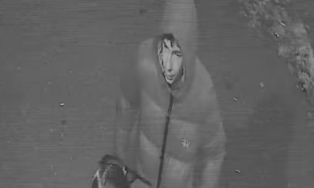 Graffitist keresnek a miskolci rendőr&ouml;k, t&ouml;bb h&aacute;z fal&aacute;t f&uacute;jta &ouml;ssze a belv&aacute;rosban - Felismered?