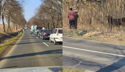 Elszabadult egy bika N&oacute;gr&aacute;dban, fell&ouml;k&ouml;tt egy gyereket is