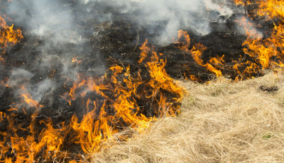 Tegnap tizenhatszor avatkoztak be a hivat&aacute;sos tűzolt&oacute;k Borsod-Aba&uacute;j-Zempl&eacute;n megy&eacute;ben