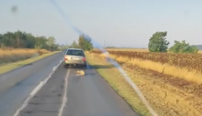 Let&ouml;ltendő b&ouml;rt&ouml;nt kapott a f&eacute;rfi, aki aut&oacute;val vonszolta a kuty&aacute;j&aacute;t az aszfalton