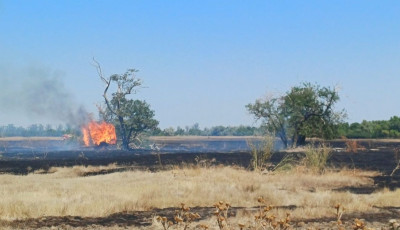 Tűz puszt&iacute;tott &Oacute;zd hat&aacute;r&aacute;ban