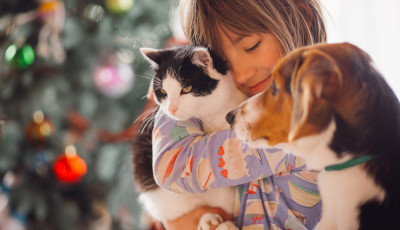 Kiskutya/kismacska olcs&oacute;n? Felejtsd el!