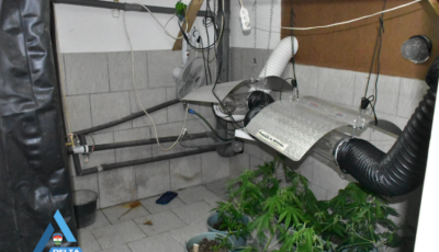 Otthon termesztette a cannabist a 24 &eacute;ves f&eacute;rfi