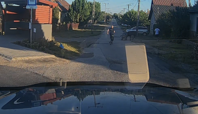 Megvadult szarvas t&aacute;madt r&aacute; egy &aacute;llatmentőre Mezőt&uacute;ron - VIDE&Oacute;