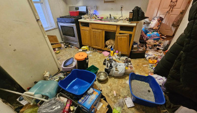 Ingyen takar&iacute;t&aacute;st v&aacute;llal egy magyar h&ouml;lgy a megy&eacute;ben, hogy &iacute;gy kezdhessenek &uacute;j &eacute;letet a lak&oacute;i