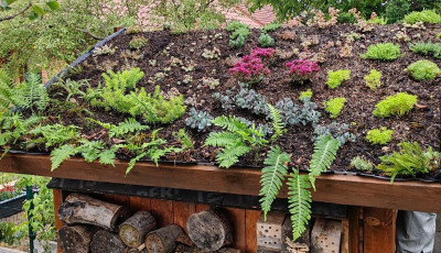 Z&ouml;ldtetőt &eacute;p&iacute;tett a szersz&aacute;mos h&aacute;zra egy miskolci kert&eacute;sz