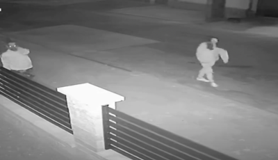 Elvittek egy kőoroszl&aacute;nt, most keresi őket a rendőrs&eacute;g