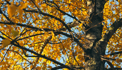 Lehetne norm&aacute;lis ősz is, de ink&aacute;bb &uacute;jra izzadhatunk