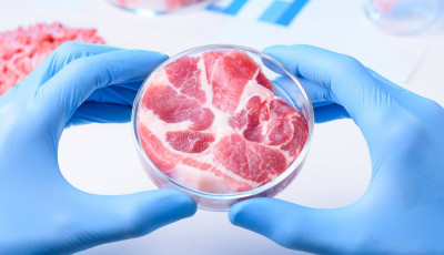 Betiltja a korm&aacute;ny a műh&uacute;st Magyarorsz&aacute;gon