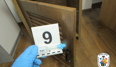 A par&oacute;ki&aacute;r&oacute;l lopott a ricsei f&eacute;rfi