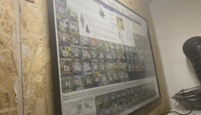 Sz&eacute;p kis &uuml;ltetv&eacute;nyt nevelgetett titokszob&aacute;j&aacute;ban a szentistv&aacute;ni f&eacute;rfi, m&eacute;g k&uuml;l&ouml;n fű-rendszeres t&aacute;bl&aacute;ja is volt