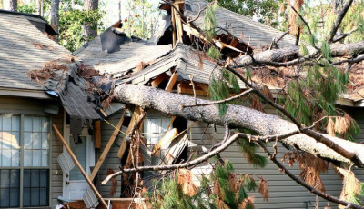 Tombolt a vihar Borsodban - Felt&eacute;pte egy iskola tetőszerkezet&eacute;t &eacute;s h&aacute;zra is dőlt fa