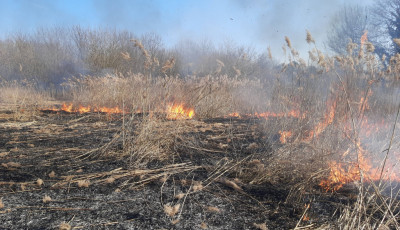 Cs&uuml;t&ouml;rt&ouml;k&ouml;n huszonh&eacute;tszer avatkoztak be a borsodi tűzolt&oacute;k a l&aacute;ngol&oacute; n&ouml;v&eacute;nyzet miatt