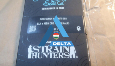 Hollandi&aacute;b&oacute;l rendelt cannabismagokat a felsőzsolcai f&eacute;rfi