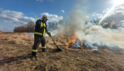 B&uacute;zat&aacute;bla &eacute;gett Halmajn&aacute;l